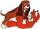 fox and hound