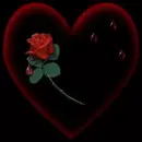 blood heart and red rose