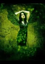 Fairy