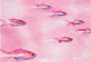 pink fishes