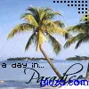 Palmtree paradise