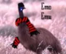 emo emu