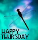 happy thursday firefly