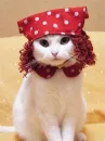 the cute me:P