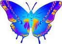 Colorful Butterfly