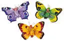 Butterfly Babies