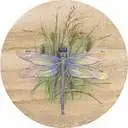 Circle Dragonfly