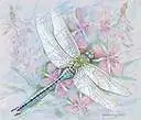Light Pink and Light Blue Dragonfly