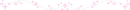 Flash pink divider
