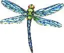 Blue Dragonfly