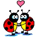 Lovebug Ladybugs