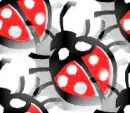Ladybug background Black and Red