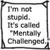 I'm not stupid