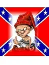 Rebel Flag