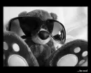 Little Teddybear. =)