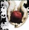 twilight apple