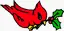 Red Bird