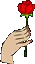 A Rose For You