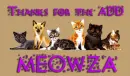 Thanks cats animation