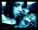 every rose has a thorn
