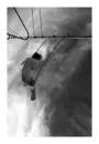swing