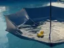 duck.