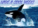 Have a Cool Week