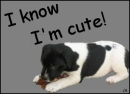 I know I'm cute