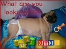 What you lookin at