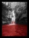 Blood