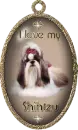 I love shih tzu!