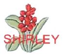 Shirley