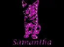 Samantha