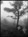 Loneliness