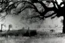 Graveyard