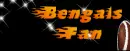 Bengals Fan