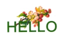Hello