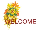 welcome