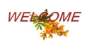 welcome
