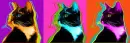 three cool cats