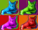 kitty