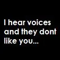 i hear vocies