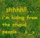 hid from the stupid