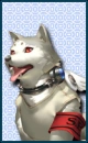 Koromaro