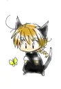 ED, FMA