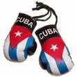 cuban gloves