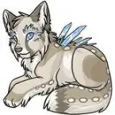 angel wolf