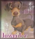 my dacshund