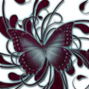 mariposa