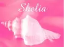 Shelia